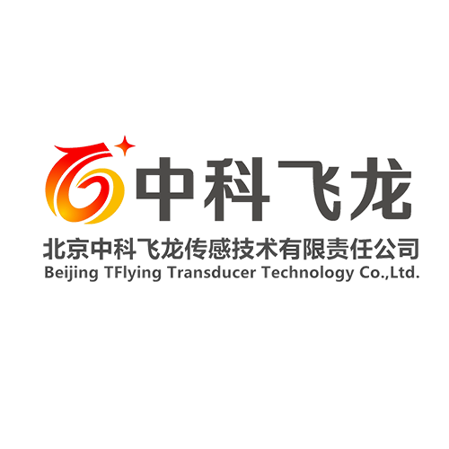 中科飞龙